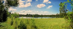 Phoca Thumb M Sicht Auf Das Wildseemoor